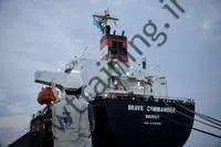 WFP: اولین محموله غلات بشردوستانه اوکراینی عازم شاخ آفریقا شد |